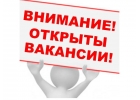 Ведущий специалист по подбору персонала